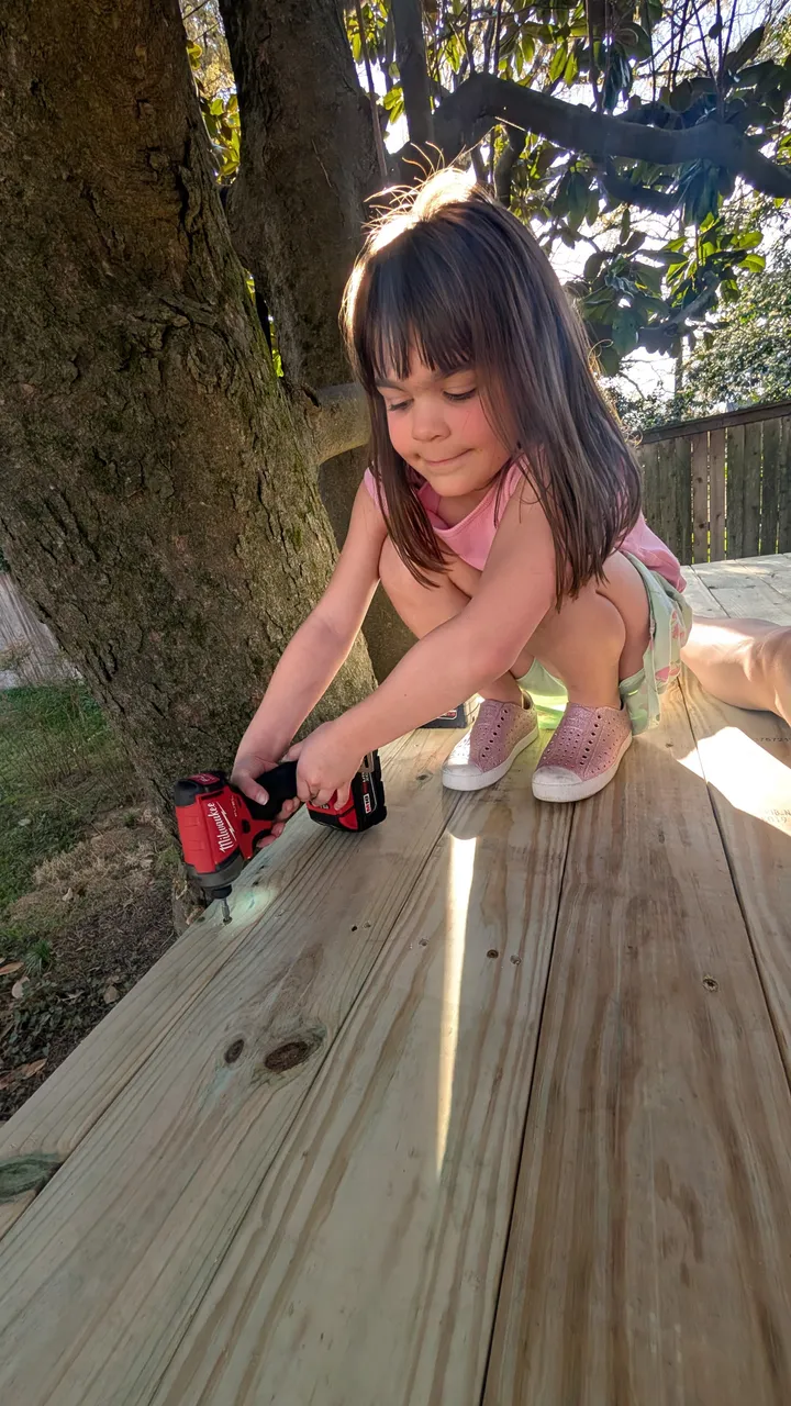 Little builder